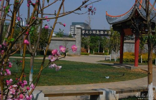 184644b7hurfrfmfq9kpf7