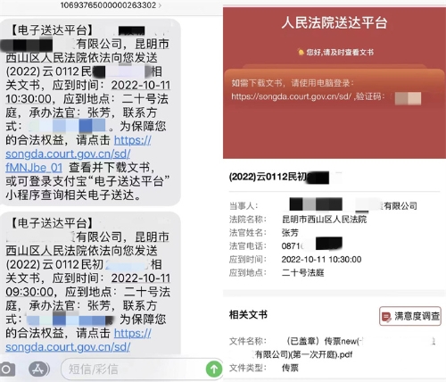 1675327800307038595.jpg 电子送达.jpg