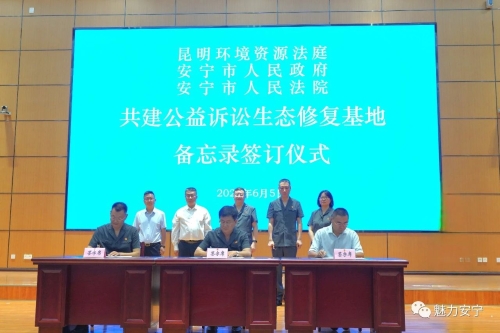 1686017063259084929.jpg 1686017063259084929.jpg