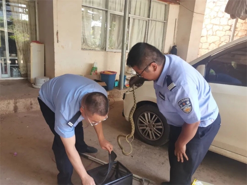 1691550038128040014.jpg 4.jpg