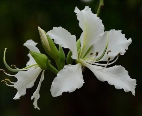 1709861095147009793.jpeg 640-1.jpeg