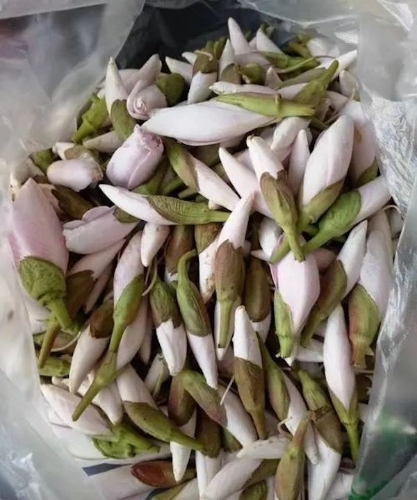 1709861105368018351.jpeg 640-2.jpeg