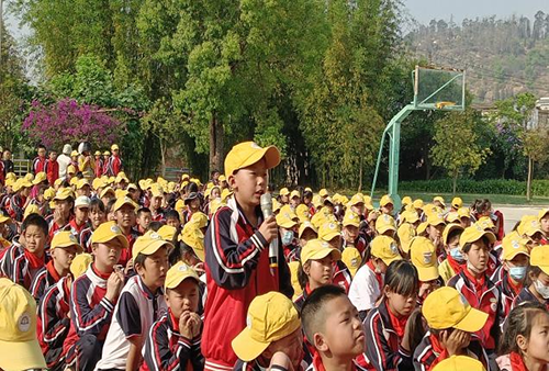 1713490317068075890.png 33.png