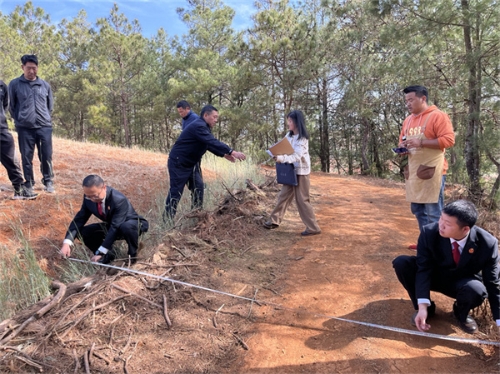 1719563953077036339.jpg 1.jpg