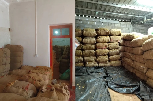 1724381854916012122.jpg 1724381854916012122.jpg