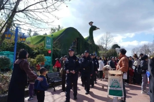 微信图片_20250207112757