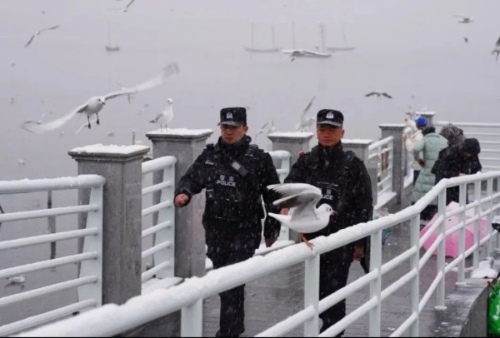 微信图片_20250207112959