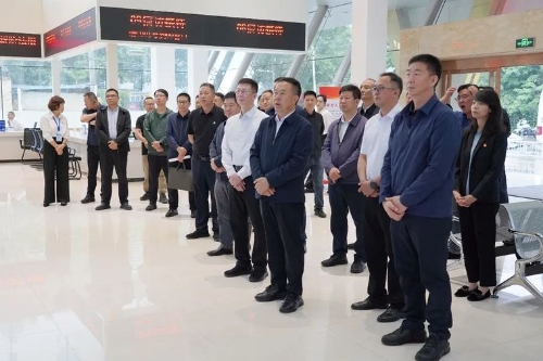 3556206_500x500 3556206_500x500