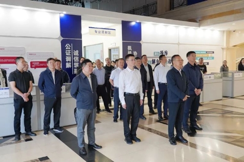 3556204_500x500 3556204_500x500