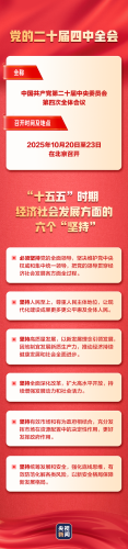 一张图，带你了解党的二十届四中全会