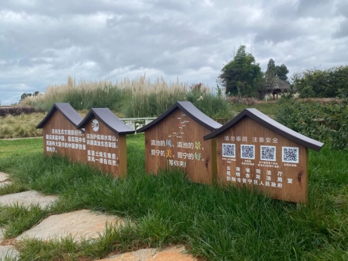 1763086353535014278.jpg 1763086353535014278.jpg