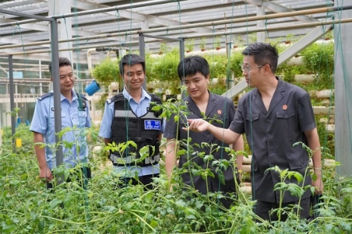 640 - 2025-12-01T141315.980.jpg