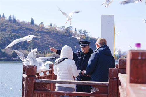 1772439233477037067.jpg 微信图片_2026-03-02_161334_653.jpg