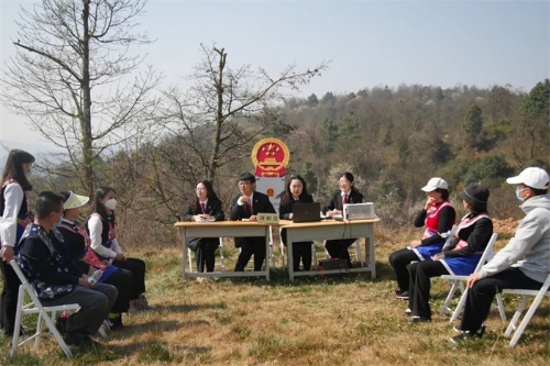 法院.jpg