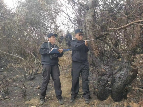 微信图片_2026-05-22_102448_837.jpg